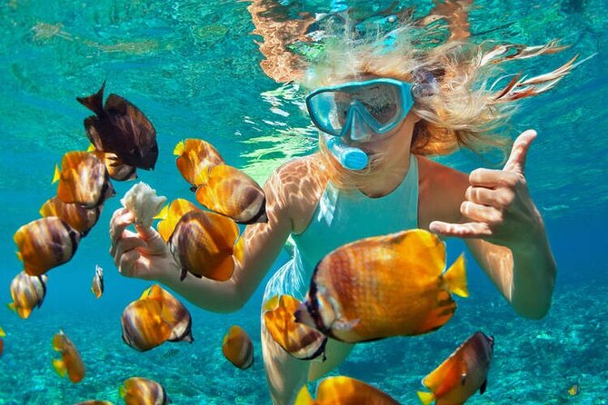 1 Hour Private Snorkeling Activity In Montego Bay - Key highlights