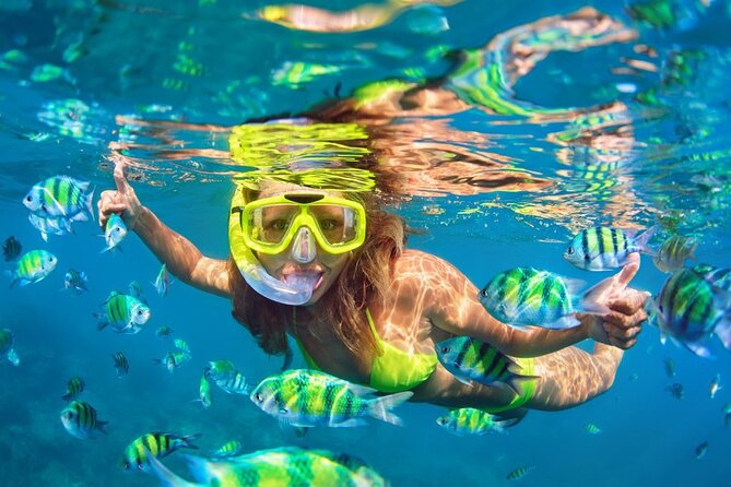 1 Hour Private Snorkeling Activity In Montego Bay - Price and Value: What $110 Includes (and Why It Feels Fair)