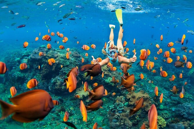 1 Hour Private Snorkeling Activity In Montego Bay - Who This Tour Fits Best (and Who Might Skip It)