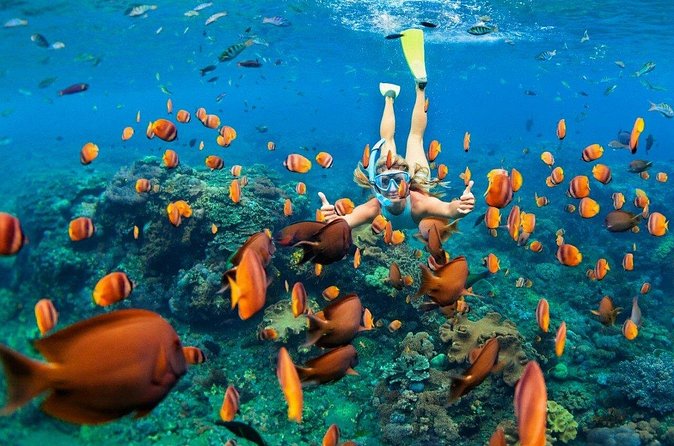 1 Hour Private Snorkeling Activity In Montego Bay - Practical Tips So Your Hour Goes Smooth