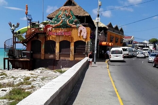 3-Hour Private Tour in the Highlights of Montego Bay - Viewpoints: A Quick Charge of Perspective