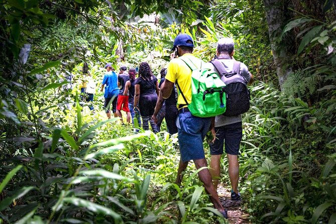4-Hours Bike, Hike & Waterfall Tour in Blue Mountain with Lunch and Pick Up - Key Things to Know Before You Go
