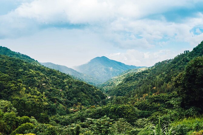 4-Hours Bike, Hike & Waterfall Tour in Blue Mountain with Lunch and Pick Up - Lunch at an Open-Air Café Deck: Jamaican Brunch with a Coffee Trading Post Feel