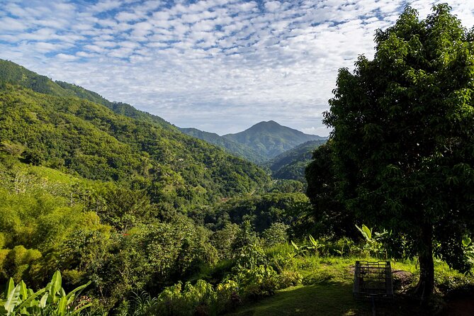 4-Hours Bike, Hike & Waterfall Tour in Blue Mountain with Lunch and Pick Up - Pace, Fitness, Weather, and the One Logistics Risk I’d Watch