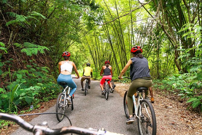 4-Hours Bike, Hike & Waterfall Tour in Blue Mountain with Lunch and Pick Up - Who This Tour Suits Best