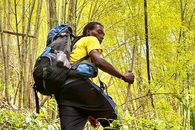 4-Hours Bike, Hike & Waterfall Tour in Blue Mountain with Lunch and Pick Up - The Hike: 2.2 Miles, Over 1,500 Feet Up, Forest and Coffee Farms