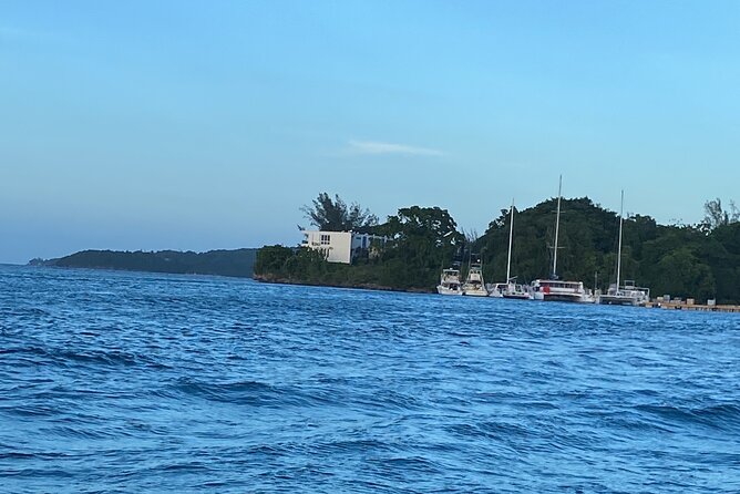 4 Hours Party Boat Catamaran Cruise in Negril - Rick’s Cafe Arrival: Cliff Jumps Optional, Vibe Included