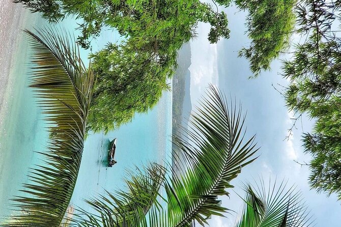 A "Private" Airport Transfer to Grand Palladium Resort - The Private Ride to Grand Palladium: About 45 Minutes of Straightforward Comfort