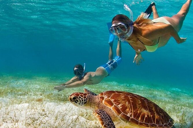 Adventurous-Snorkeling With Sightseeing of Montego Bay - Key highlights before you go