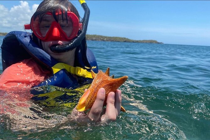 Adventurous-Snorkeling With Sightseeing of Montego Bay - Price and value: what $70 covers in a short, active tour