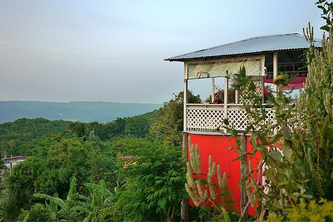 Ahhh Ras Natango Gallery and Garden Private Transfer - The Garden Walk: Native Plants, Layered Hillside Views, Bird Spotting