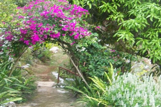 Ahhh Ras Natango Gallery and Garden Private Transfer - Who This Private Tour Suits Best