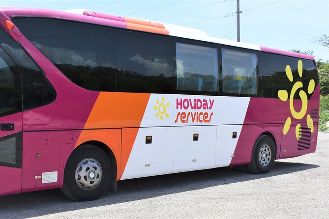 Airport Shuttle from Montego Bay (MBJ) to Hotel - Who should book this shuttle and who should consider alternatives
