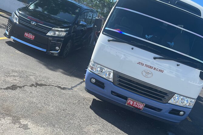 Airport Transfers Private: Montego Bay-hotels,villas & Airbnb - Price and Value: Is $39.69 per Person Fair?