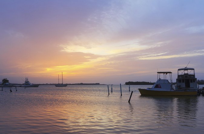 An Evening on the Lagoon: Martha Rafting, Luminous Lagoon and Falmouth Highlight - Lunch and a Jamaican-Style Beach Party (Why It’s More Than Filler)