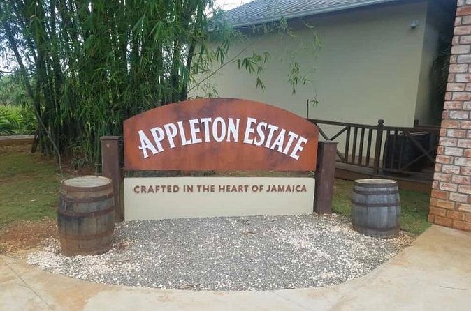 Appleton Estate Rum Private Tour - Who this Appleton Estate rum tour is perfect for