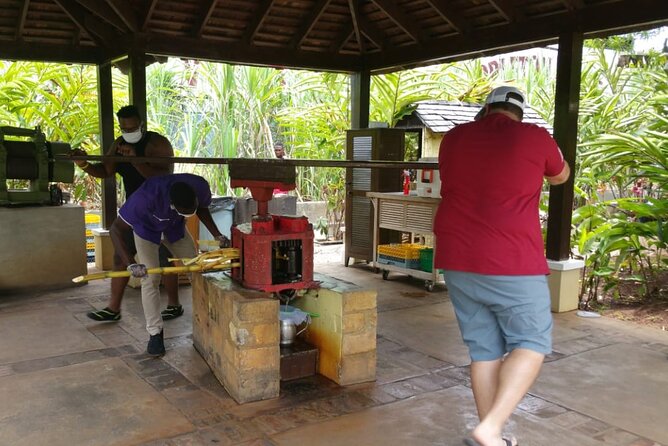 Appleton Estate Rum Tour and Pelican Bar Customize Tour - Southcoast Drive Through Three Parishes and the 2.5-Mile Bamboo Arch