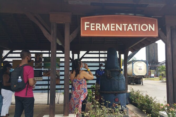 Appleton Estate Rum Tour and Pelican Bar Customize Tour - Who This Tour Suits Best (and Who Should Think Twice)