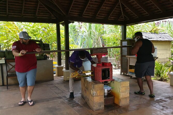 Appleton Estate Rum Tour and Pelican Bar Customize Tour - Floyd’s Pelican Bar: The Boat Ride, the Ocean Setting, and the Meal