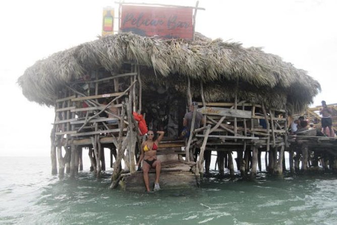 Appleton Estate Rum, YS Falls, Black River Safari / Floyd's Pelican Bar Tour - South Coast Day Tour With a Driver: What You’re Really Buying