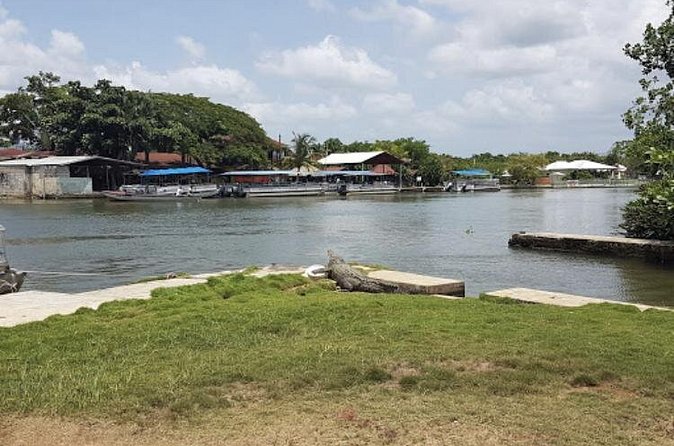 Appleton Estate Rum, YS Falls, Black River Safari / Floyd's Pelican Bar Tour - Driver and Vehicle: The Real Comfort Factor on a Long South Coast Day