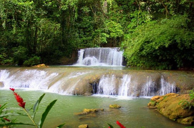 Appleton Estate, Ys Falls and Black River Safari Private Tour - Black River Safari by Boat: One Hour of Crocodiles, Birds, and Nature