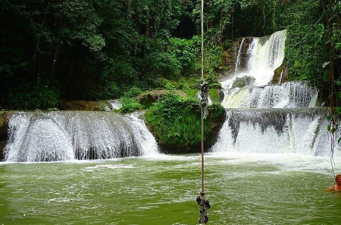 Appleton Estate, Ys Falls and Black River Safari Private Tour - Weather, Closures, and Your Best Backup Plan