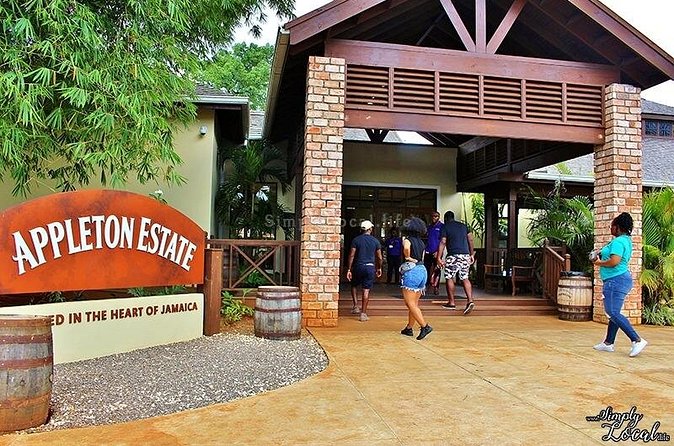 Appleton Estate, Ys Falls and Black River Safari Private Tour - Who This Tour Fits Best (and Who Should Skip It)