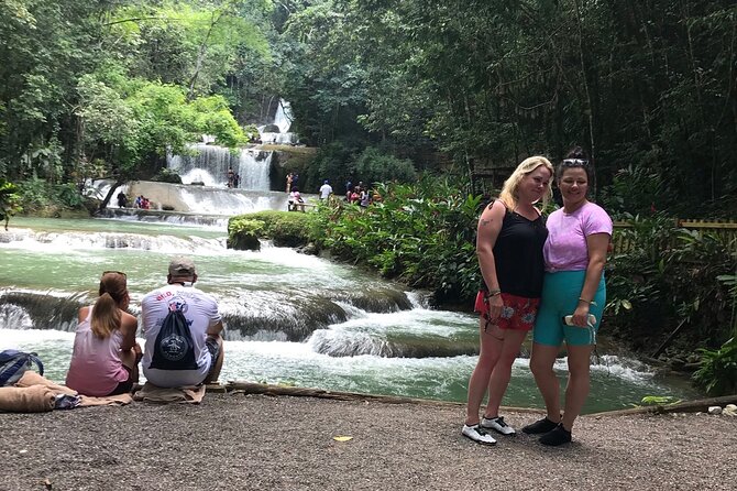 Appleton estate,YS Falls,Black River Safari,Pelican Bar(any 3of4) - Black River Safari: birds, river plants, and the American crocodile
