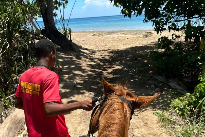 ATV, Bamboo Rafting, Horseback Ride From Montego Bay- Private - Rad Venture ATV & Swing to Snow Hill: The Adrenaline Part That’s Worth It