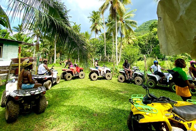 ATV Jungle Safari Tour from Montego Bay - Quick hits before you go
