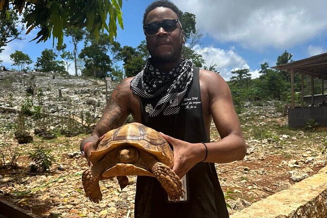 ATV Tour from Montego Bay with private transportation - Price and Logistics: Is $175 Good Value?