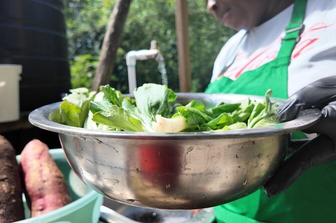 Authentic Jamaican Cooking Experience in the Mountain from mobay - Your guide experience: English support plus local hosting