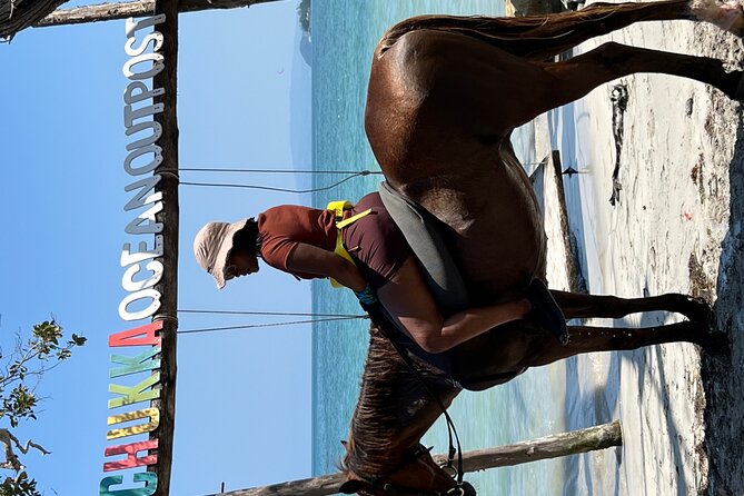 Bamboo Rafting & Horseback -dunns river Transportation Included - Price and value: why $299 can be a good deal (or not)