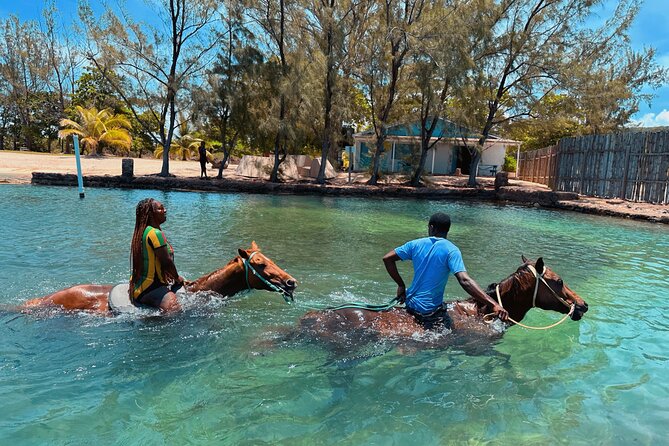 Bamboo Rafting & Horseback Ride n Swim Guided Tour in Montego Bay - Included Extras That Actually Matter (Not Just Fine Print)