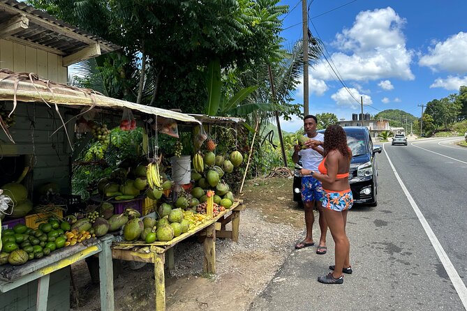 Benta River & Falls Private Tour From Montego Bay - Your Guide, the Pace, and Why Private Matters