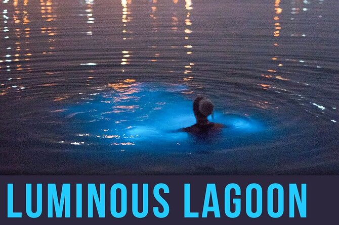 Bioluminescence Lagoon Tour from Montego Bay with Pick Up - Glistening Waters near Falmouth: The Optional Dip You’ll Remember