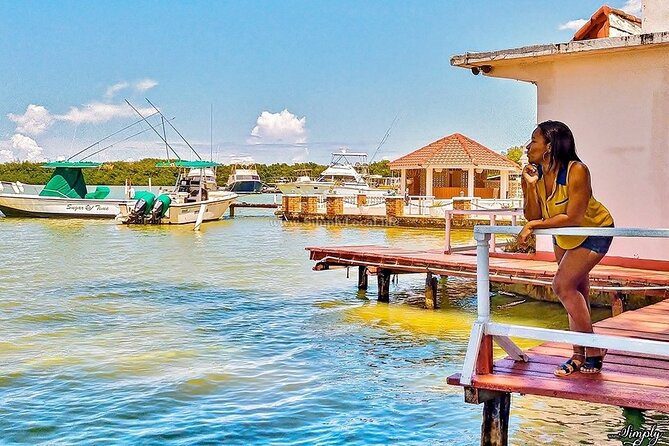 Bioluminescence Lagoon Tour from Montego Bay with Pick Up - Timing, Weather, and Moonlight: Why Your Night Might Look Different