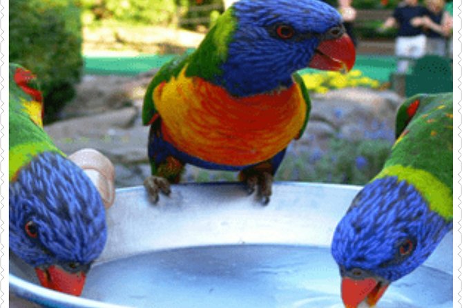 Bird Sanctuary and animal farm Day Tour - Key highlights you’ll feel fast