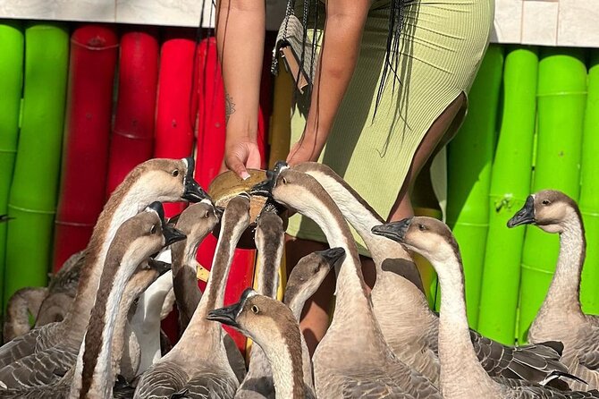 Bird Sanctuary and animal farm Day Tour - Entering Rockland Bird Sanctuary in 3 hours