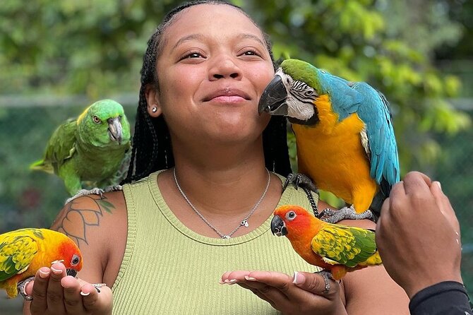 Bird Sanctuary and animal farm Day Tour - Hand-feeding hummingbirds and spotting Jamaica’s birds