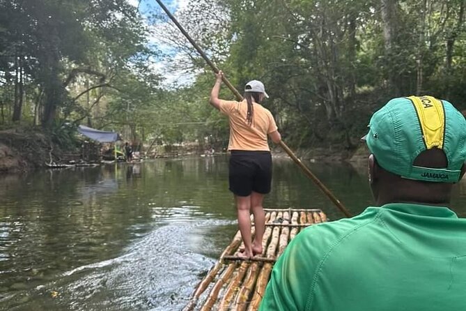 Bird Sanctuary and/or Lethe Bamboo Rafting from Montego Bay - Feeding sugar syrup and spotting Jamaica’s birds