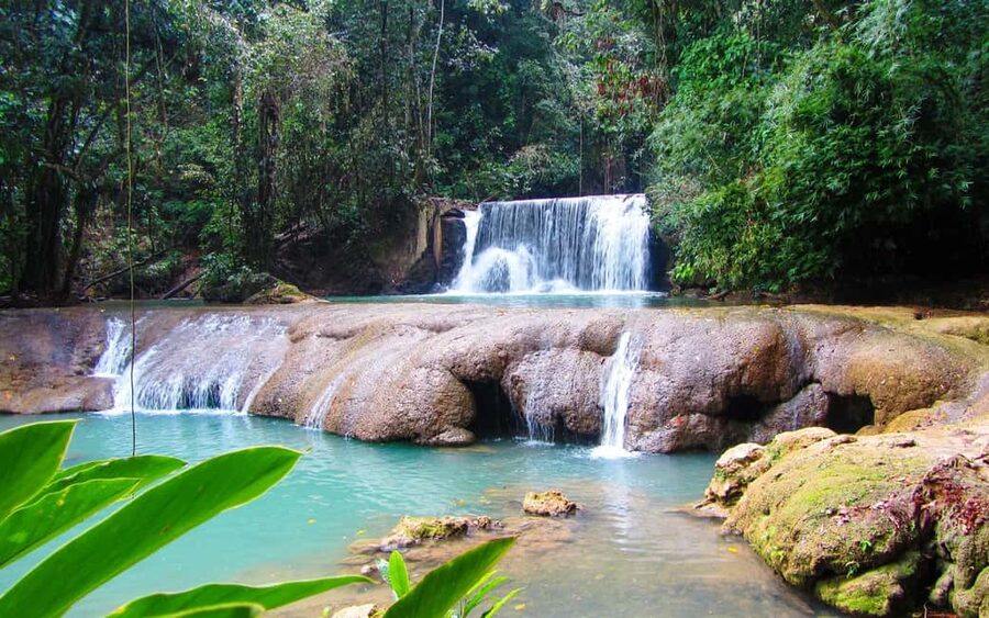 Black River Safari and Ys Falls Tour and Transportation - Key highlights you should care about