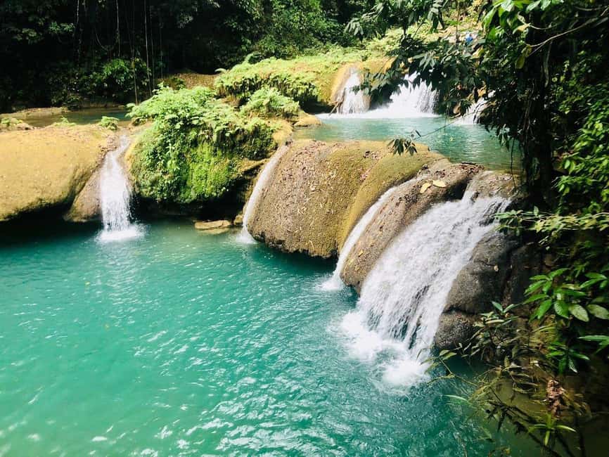 Black River Safari and Ys Falls Tour and Transportation - Black River boat ride: crocodiles, birds, and why this river mattered