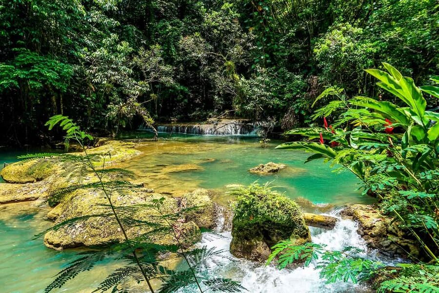 Black River Safari and Ys Falls Tour and Transportation - Best fit: who should book this tour