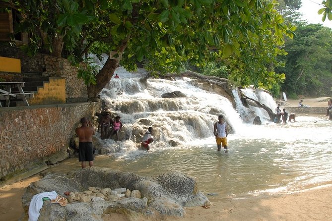 Blue Hole and Dunn's River Falls Tour from Montego Bay - Who should book this tour from Montego Bay?