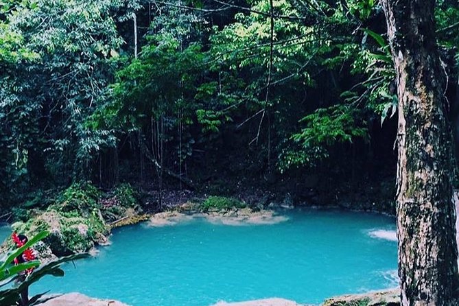 Blue Hole and Dunn's River Falls Tour from Montego Bay - Dunn’s River Falls: climbing the 180-foot terraces with local help