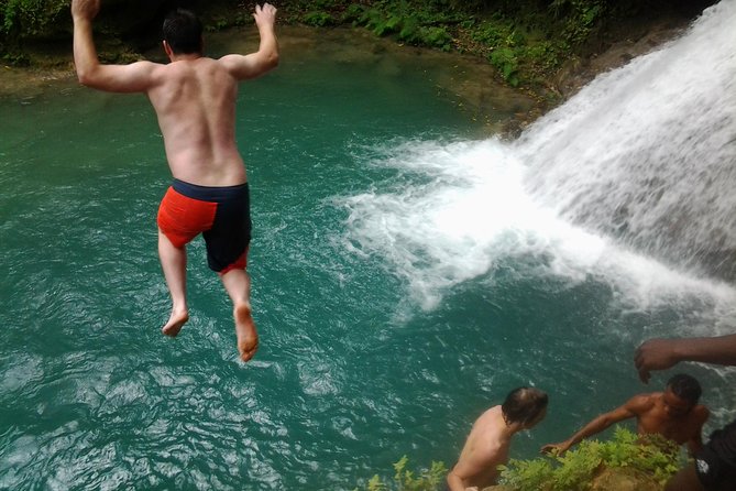 Blue Hole, Dunn's River Falls Luminous Lagoon Excursion From Montego Bay - Key highlights worth planning around
