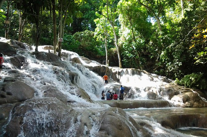 Blue Hole, Dunn's River Falls Luminous Lagoon Excursion From Montego Bay - Price and What You Really Get for $210.33