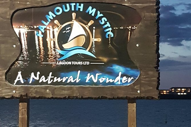 Blue Hole, Dunn's River Falls Luminous Lagoon Excursion From Montego Bay - Who This Tour Fits Best (and Who Might Reconsider)
